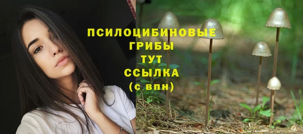 винт Горно-Алтайск