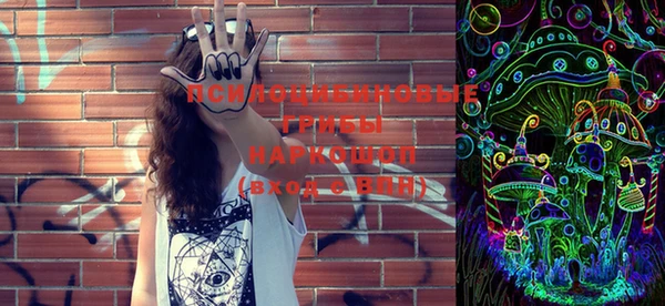 apvp Гусиноозёрск