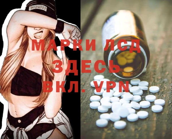 эйфоретик Гусь-Хрустальный