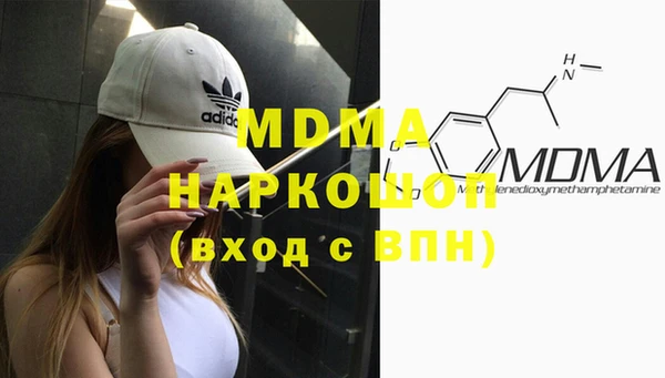 эйфоретик Гусь-Хрустальный