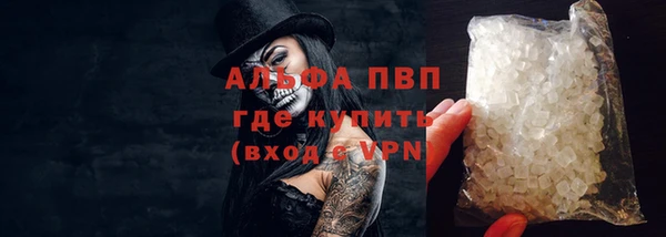 эйфоретик Гусь-Хрустальный