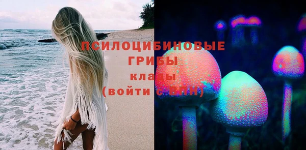 эйфоретик Гусь-Хрустальный
