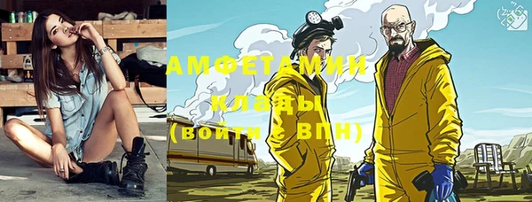 эйфоретик Гусь-Хрустальный