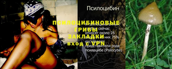 apvp Гусиноозёрск