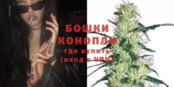 эйфоретик Гусь-Хрустальный